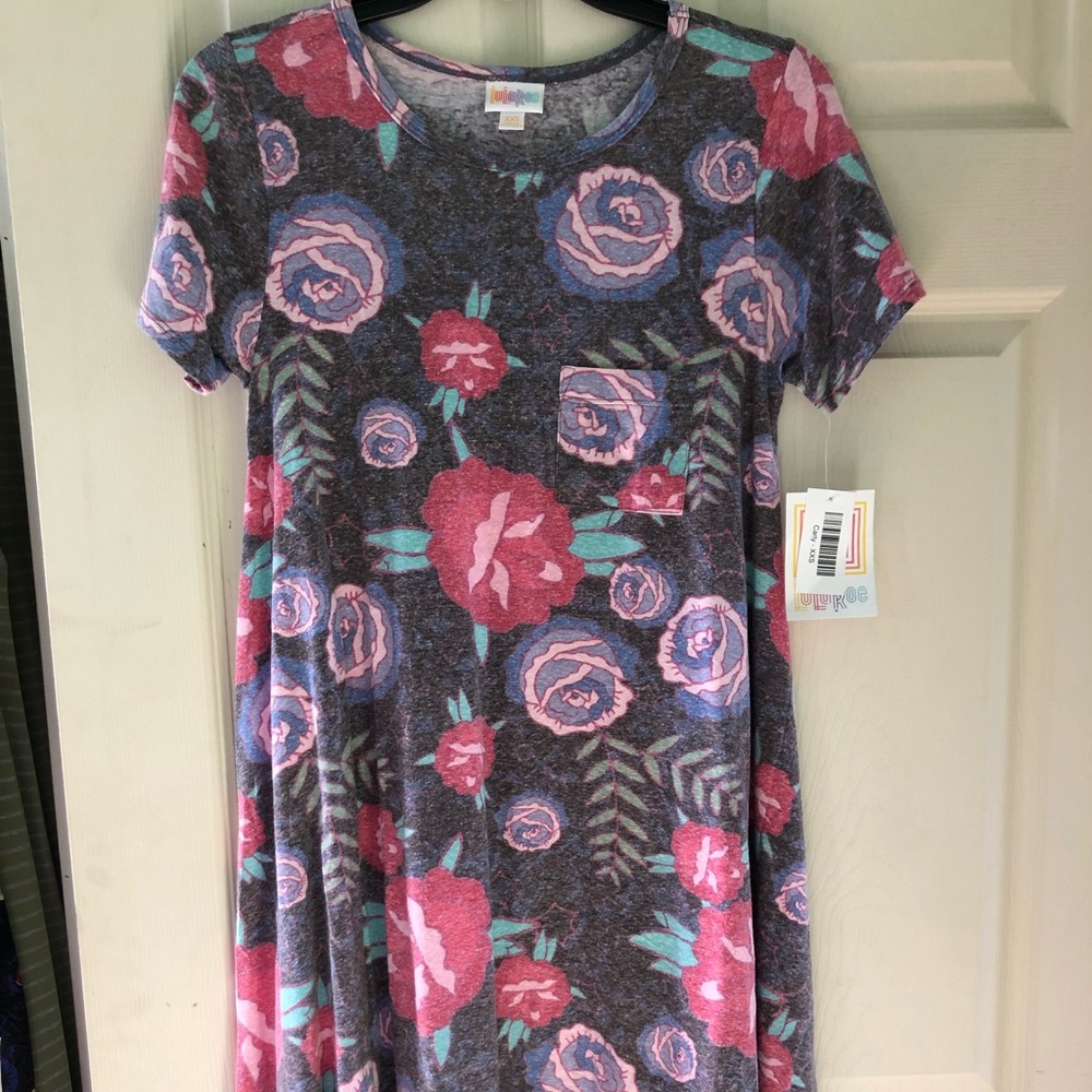 XXS Lularoe Carly